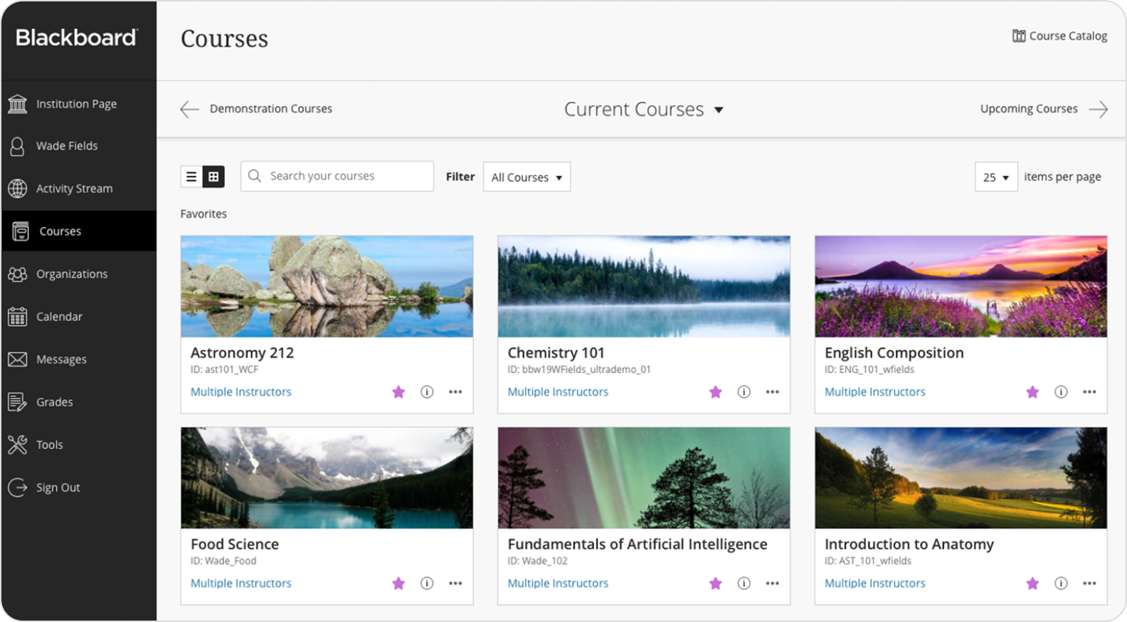 The Blackboard Learn interface